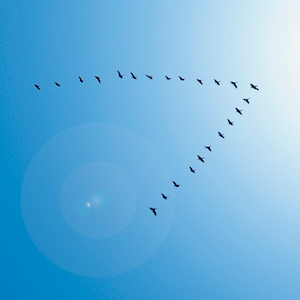 strengthening-leaders strengthening-leaders