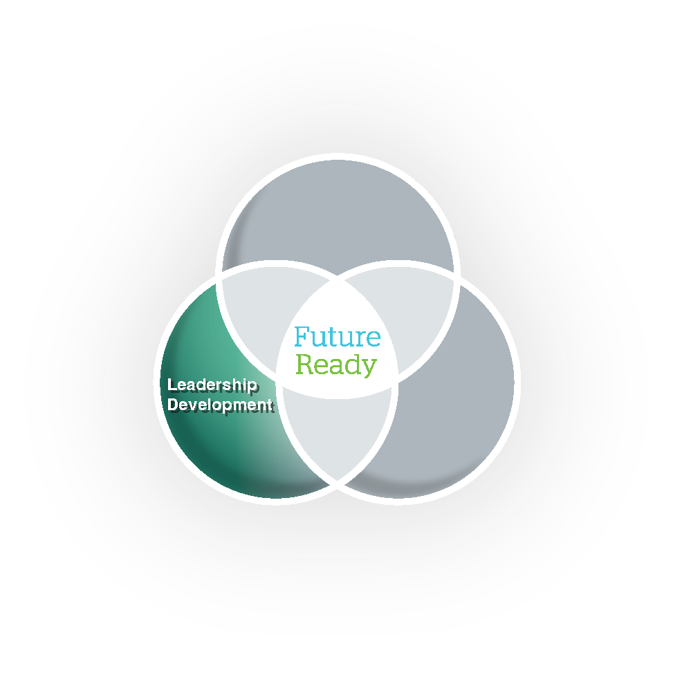 Venn Diagram | Leadership Development | Proteus International