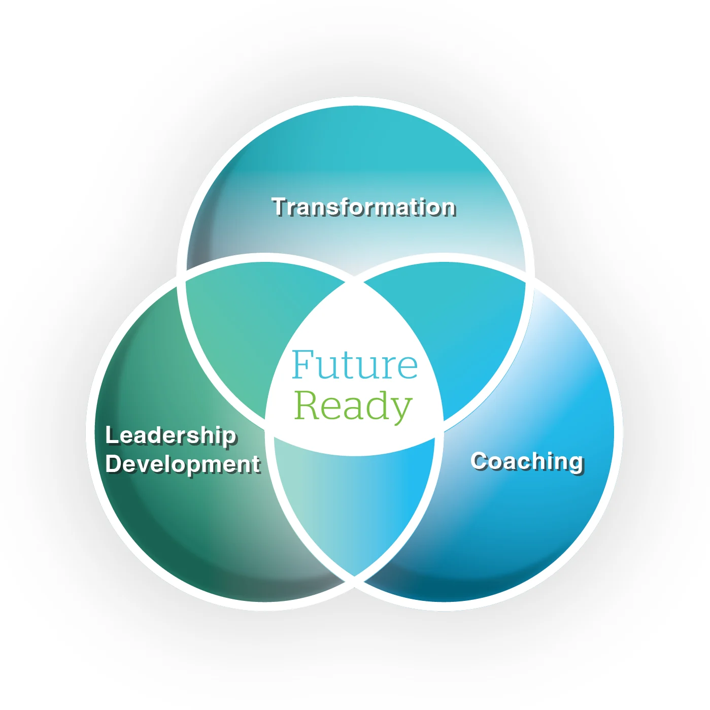 Proteus International | Transformation, Leadership Development, Coaching | Future Ready